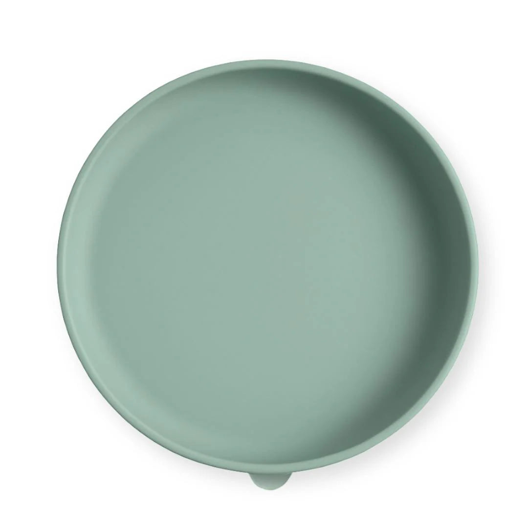 Silicone suction open plate