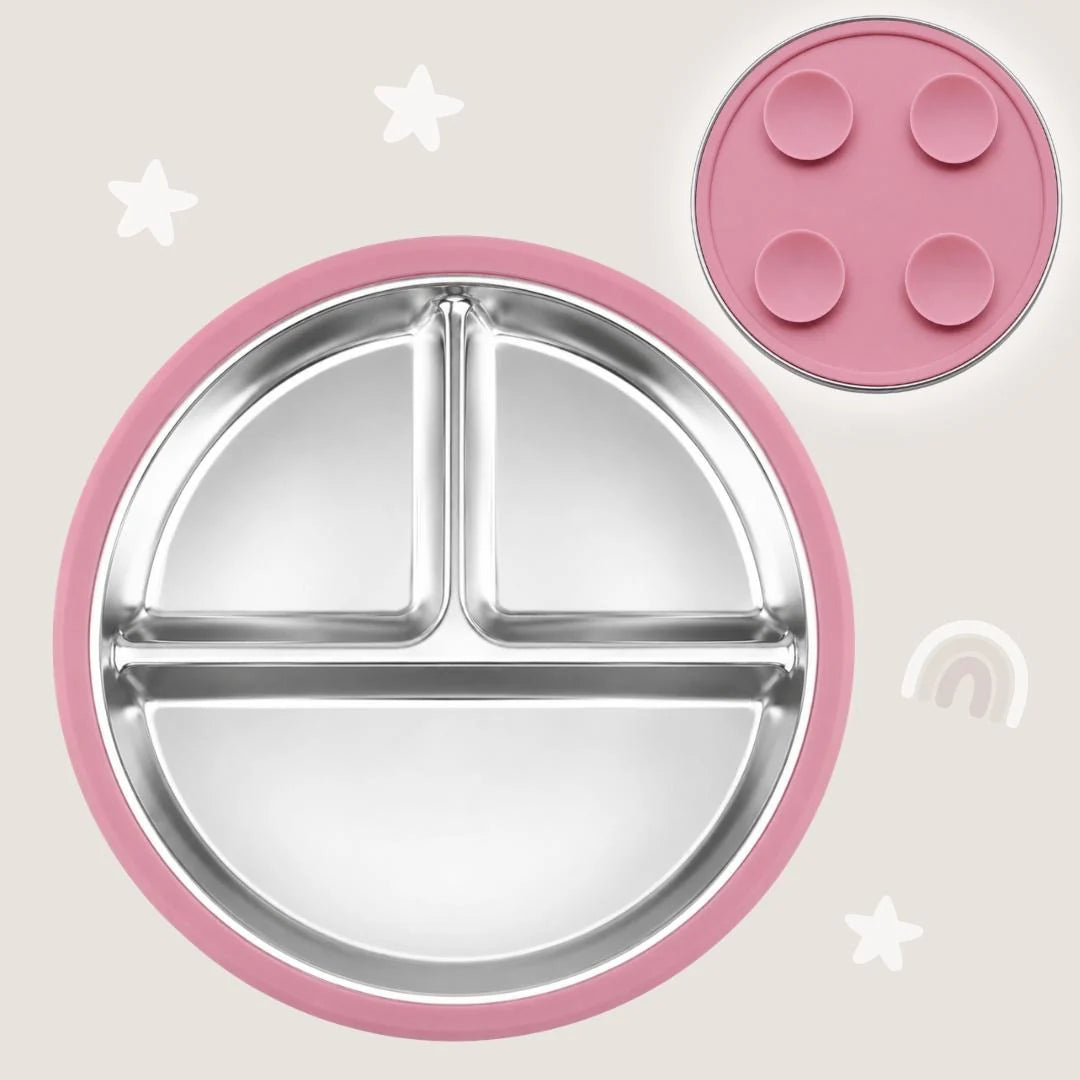 Stainless Steel Suction Plate